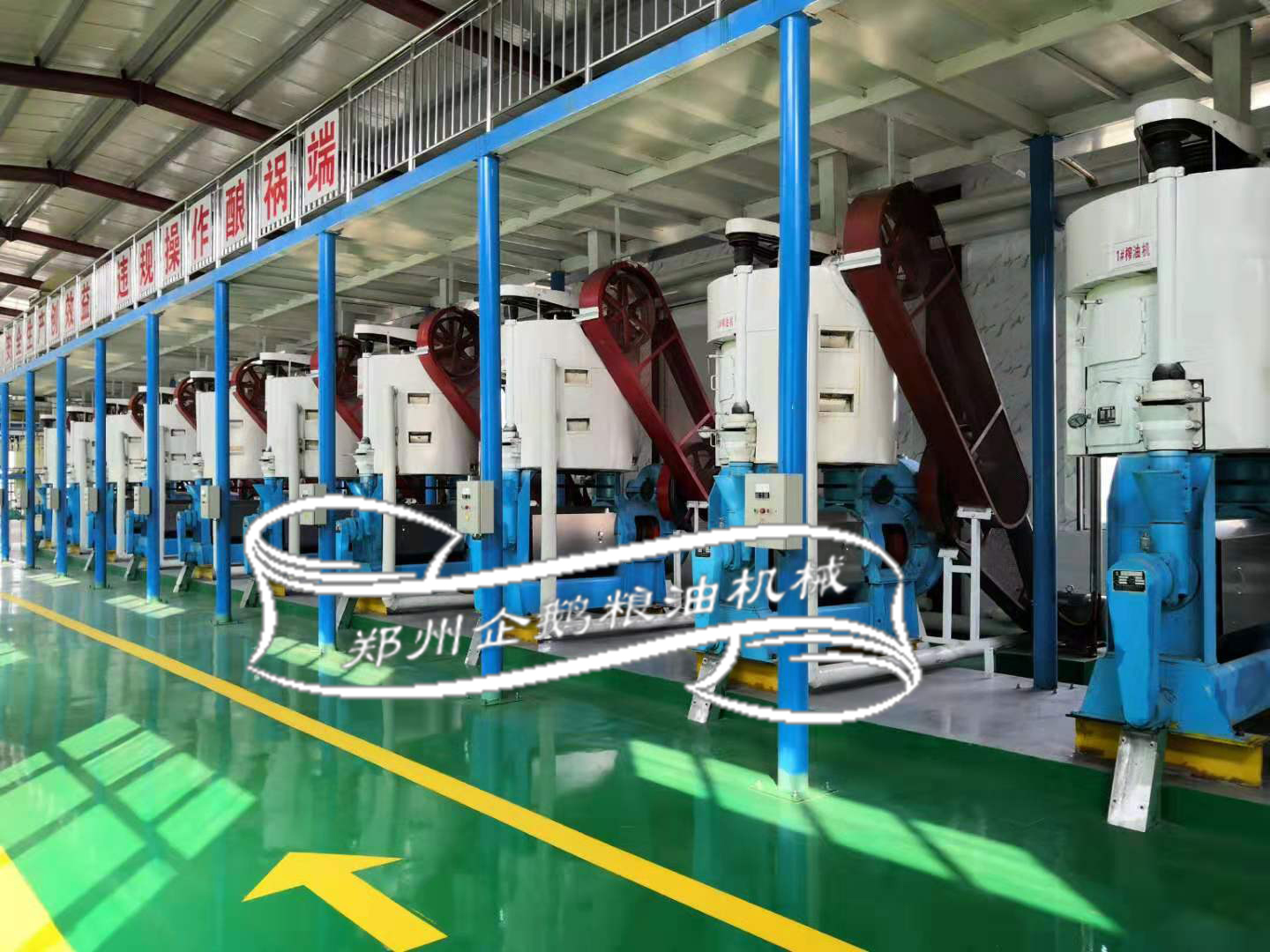 鄭州企鵝榨油設備現貨供應支持定制(圖1) 榨油機
