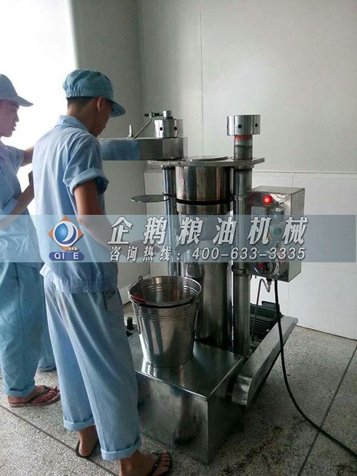 油坊設備有哪些需要投資多少