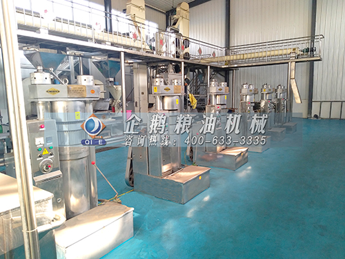 全自動榨油機生產線安全防護措施