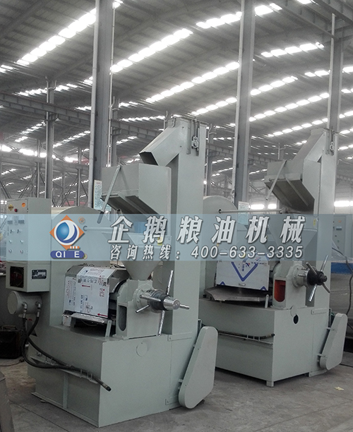菜籽榨油機(jī)鄭州企鵝牌更惠民(圖1)