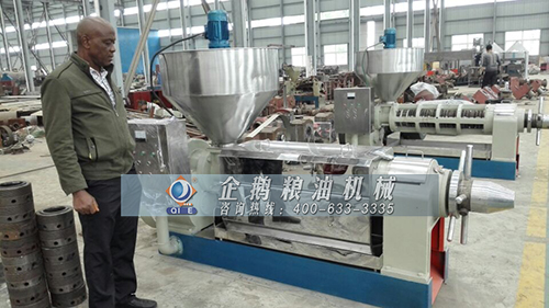 為什么說榨油機能榨出致富路(圖1) 為什么說榨油機能榨出致富路(圖1)